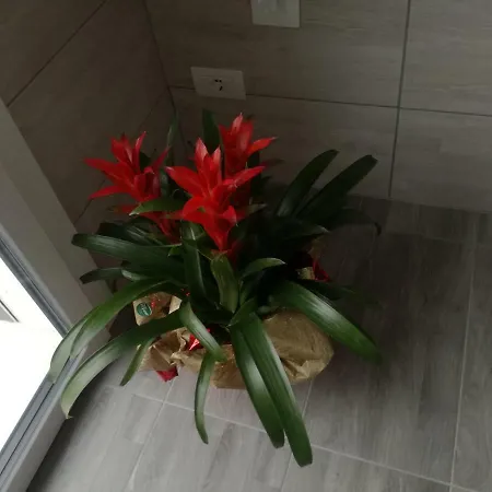 Alessietto Apartment Verona